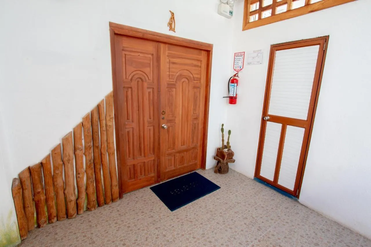 Maytenus Galapagos Puerto Ayora  Apartment Puerto Ayora (Galapagos Islands)
